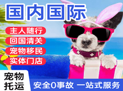 济南机场托运国际宠物托运 【国